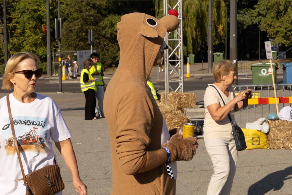 „Jabadabadū“ nuo kalno: muilinių lenktynėse – humoras ir kūrybiškumas