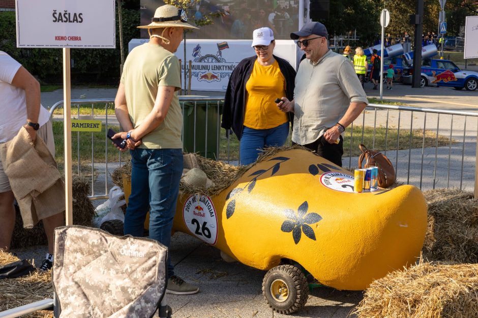 „Jabadabadū“ nuo kalno: muilinių lenktynėse – humoras ir kūrybiškumas