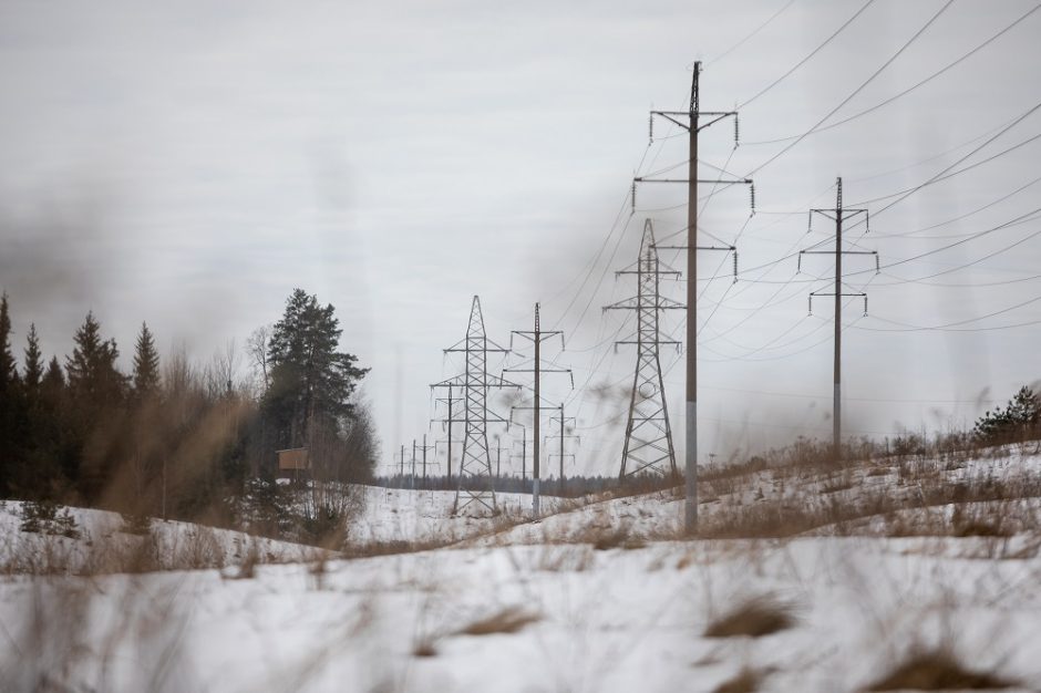 „Elektrum Lietuva“: elektra per savaitę Lietuvoje pabrango 1 proc.