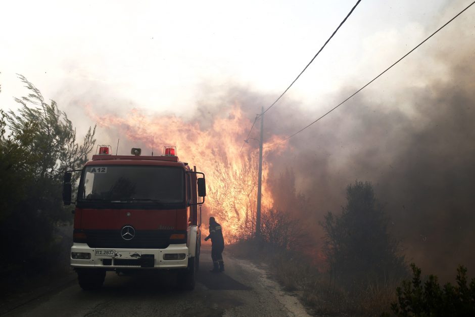 Graikiją siaubia miškų gaisrai