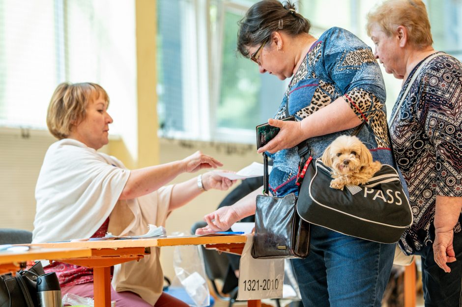 Ką kauniečiai norėtų deleguoti į Europos Parlamentą?