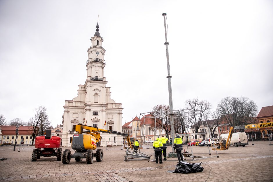 Į viršų stiebiasi Kauno kalėdinės eglutės karkasas: netrukus atkeliaus ir dekoracijos