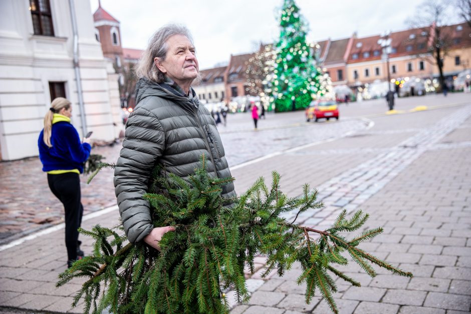 Miškininkų akcija sugrįžo: kauniečiai į namus parsinešė tūstančius eglišakių