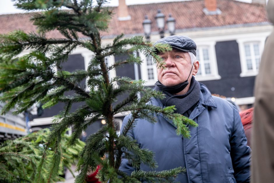 Miškininkų akcija sugrįžo: kauniečiai į namus parsinešė tūstančius eglišakių