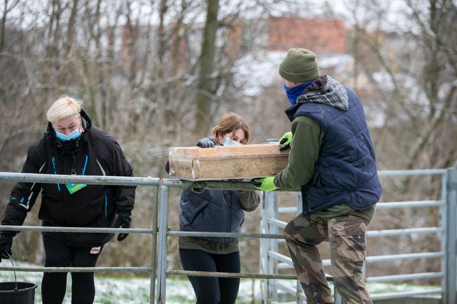 Kalėdinės dovanos pradžiugino Zoologijos sodo gyventojus (nuotraukų galerija)