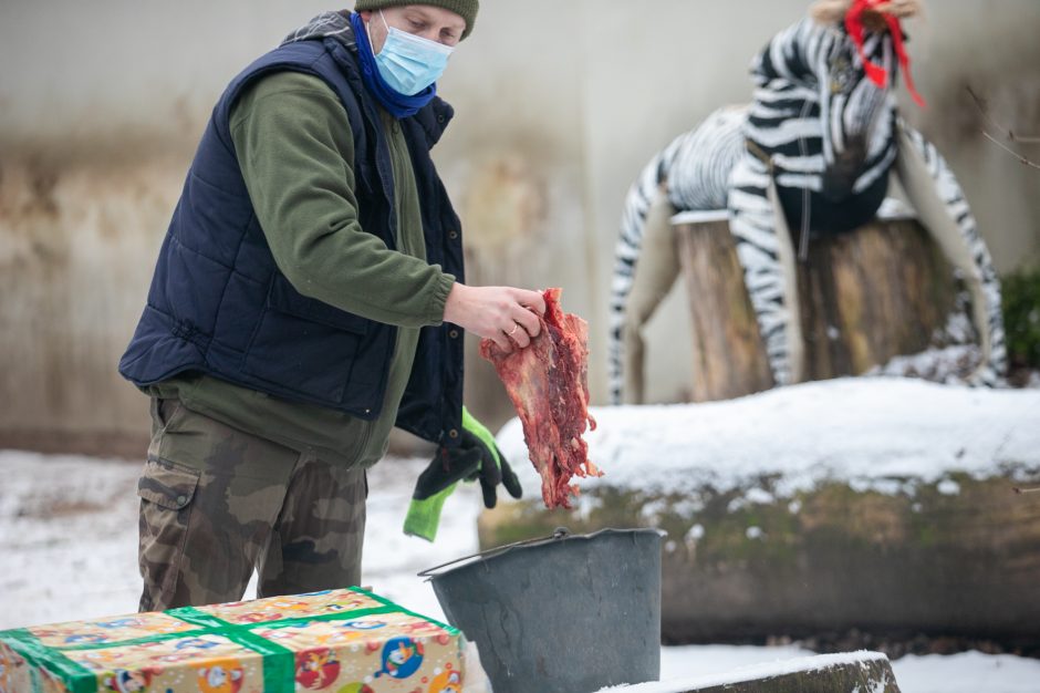 Kalėdinės dovanos pradžiugino Zoologijos sodo gyventojus (nuotraukų galerija)