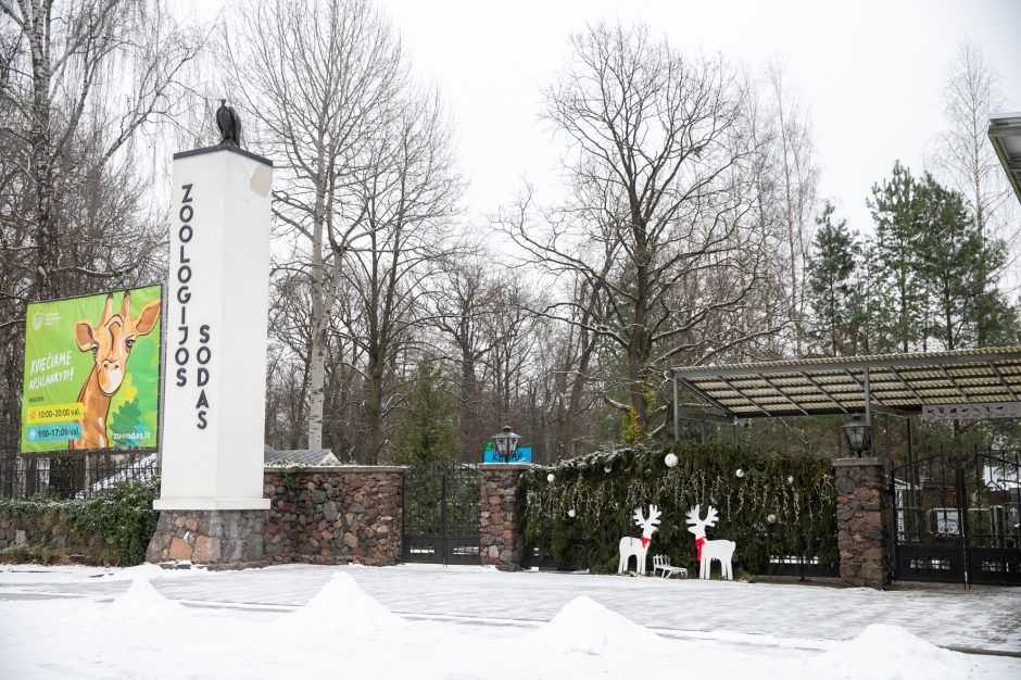 Kalėdinės dovanos pradžiugino Zoologijos sodo gyventojus (nuotraukų galerija)