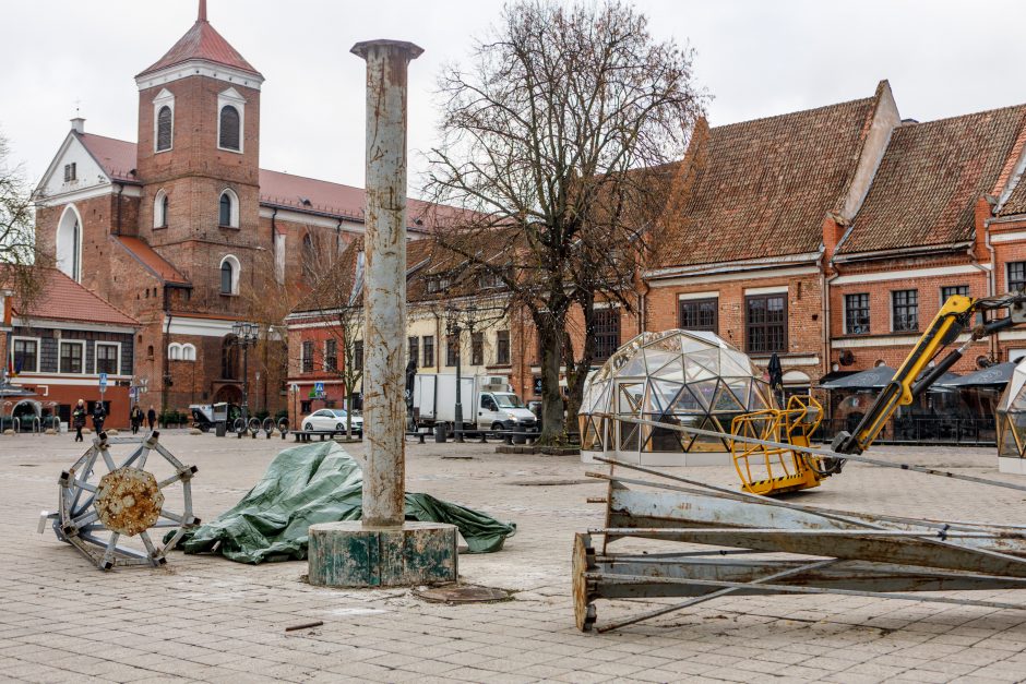 Rotušės aikštėje pradeda kilti Kalėdų eglė