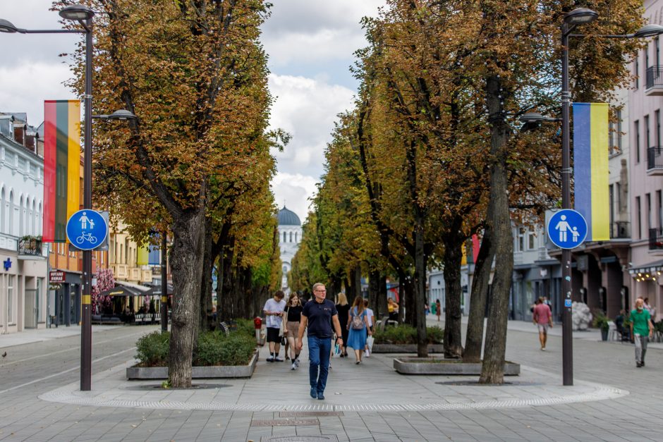 Kauno dėmesys Ukrainai: Laisvės alėjoje iškabintos vėliavos, bus ir meninė instaliacija