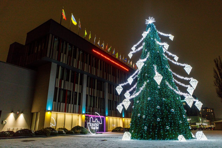 Kauno rajone apsigyveno Kalėdos: Raudondvaryje įžiebta gražuolė eglė!