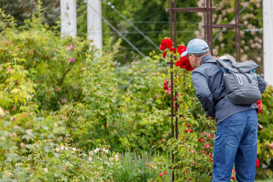 Kvepianti ir įkvepianti: Botanikos sode – unikali šventė