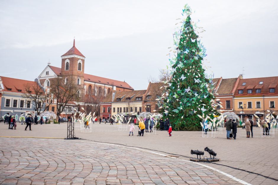 Rotušės aikštėje paskutines dienas skaičiuojanti Kalėdų eglė sulaukė ir kauniečių, ir svečių dėmesio