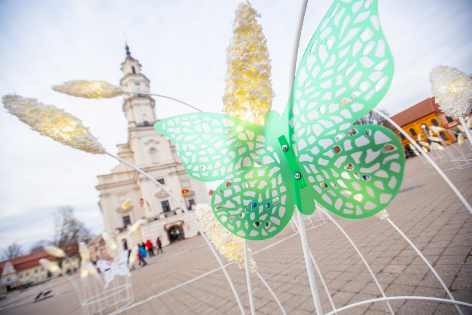 Rotušės aikštėje paskutines dienas skaičiuojanti Kalėdų eglė sulaukė ir kauniečių, ir svečių dėmesio