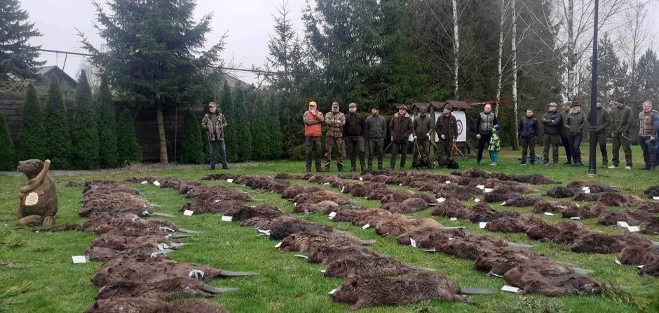 Bebravimo turnyre – gausus dalyvių būrys 