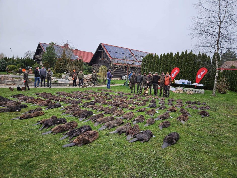 Bebravimo turnyre – gausus dalyvių būrys 