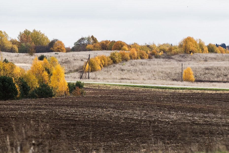 Hofmanas apie proveržį žemės ūkyje: reikalinga nacionalinės reikšmės perdirbimo gamykla