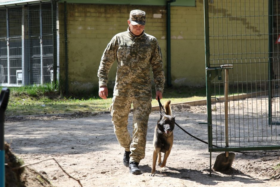 Šunys Ukrainoje gelbės gyvybes: lietuviai moko juos ieškoti minų