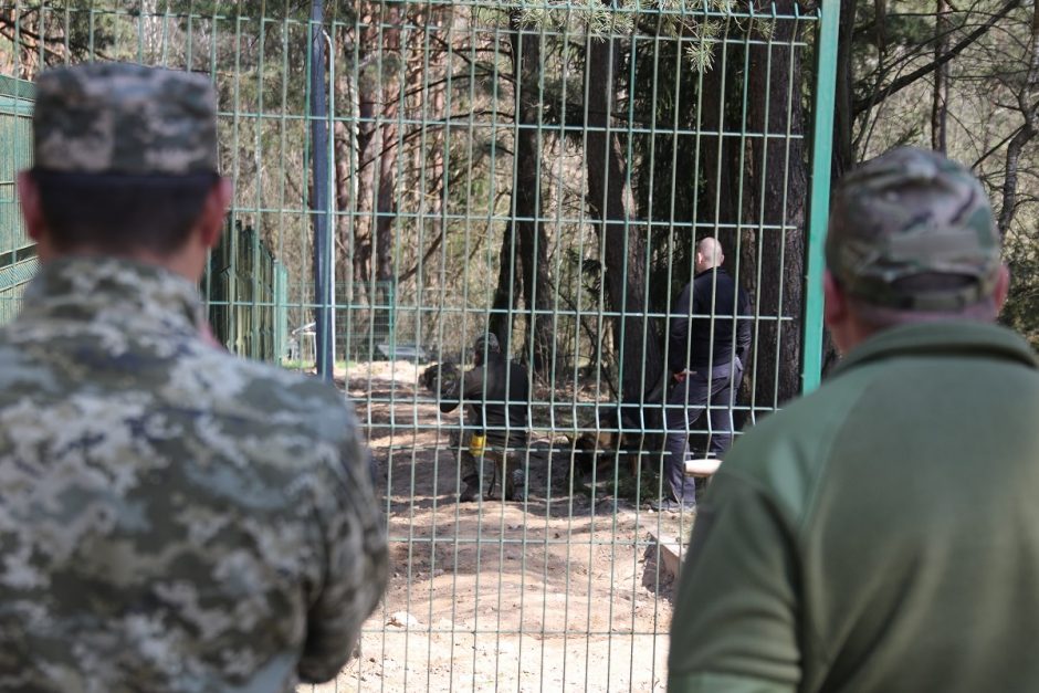 Šunys Ukrainoje gelbės gyvybes: lietuviai moko juos ieškoti minų