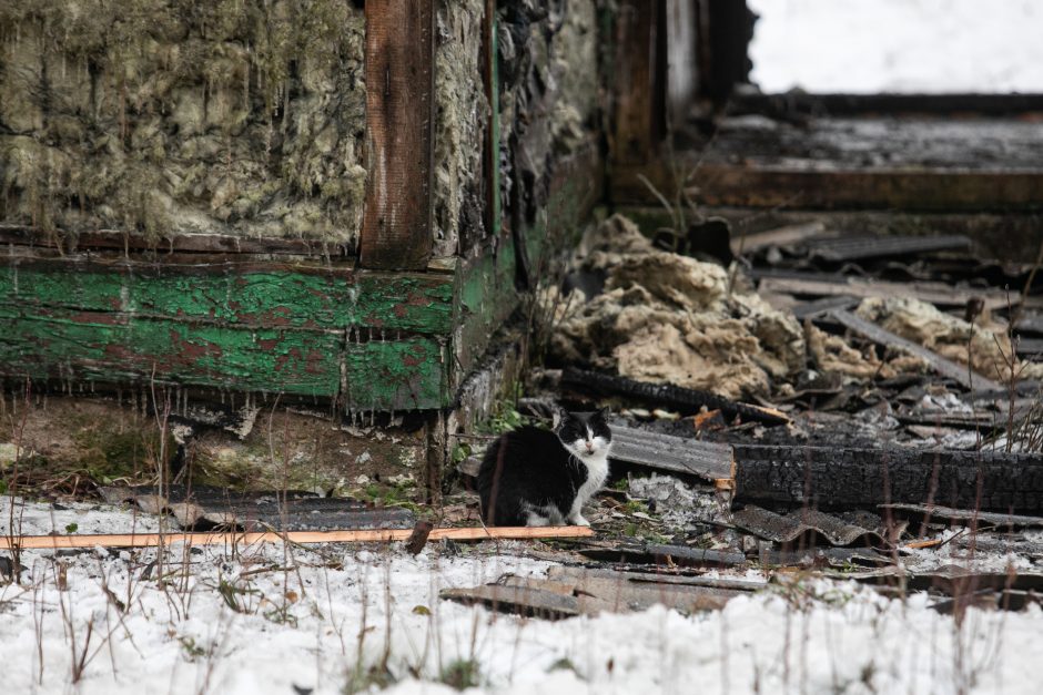 Ugniagesiai: per dvi paras gaisruose žuvo keturi žmonės