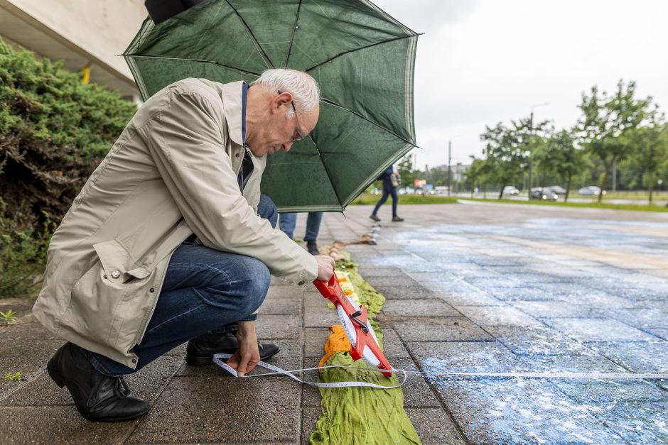 Vilniuje pristatytas rekordą pasiekęs 3D gatvės piešinys: idėją įkvėpė ir įvykiai Ukrainoje