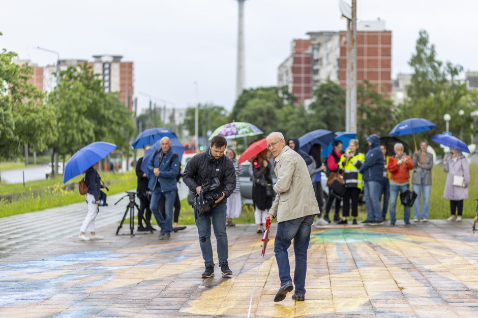 Vilniuje pristatytas rekordą pasiekęs 3D gatvės piešinys: idėją įkvėpė ir įvykiai Ukrainoje