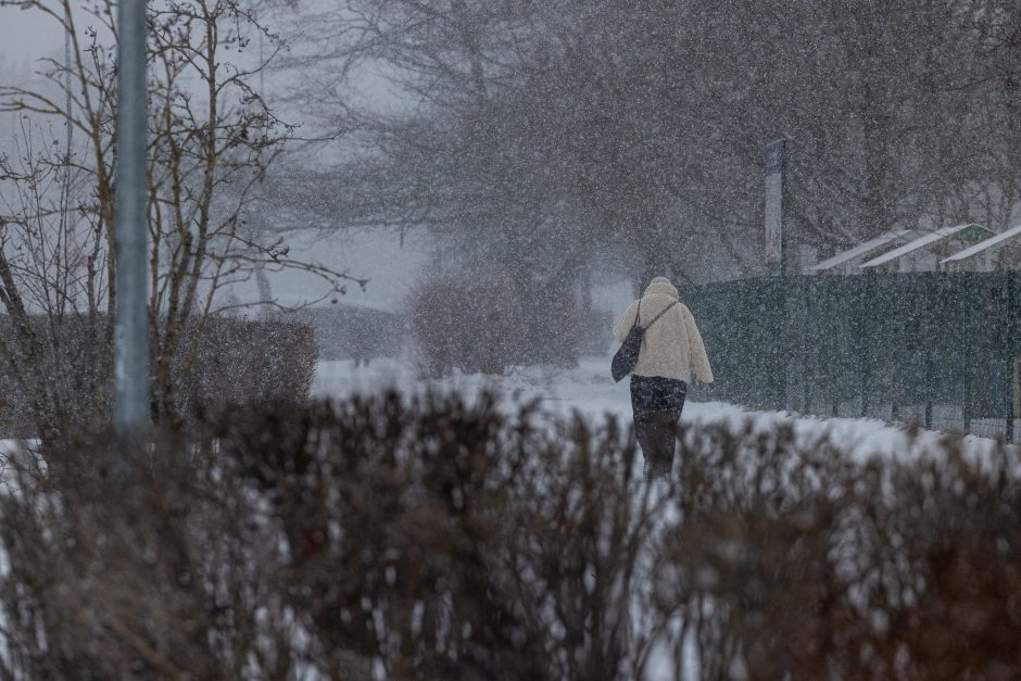 Sostinės gyventojai raginami pasiruošti pūgai: ką būtina žinoti