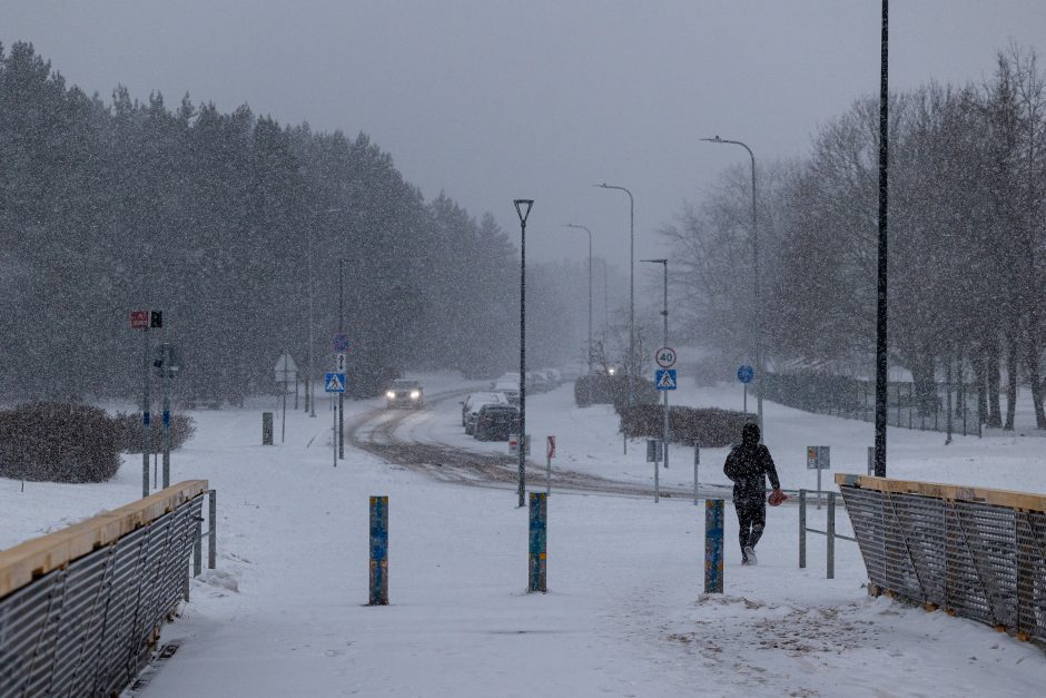 Sostinės gyventojai raginami pasiruošti pūgai: ką būtina žinoti