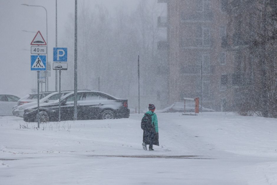 Sostinės gyventojai raginami pasiruošti pūgai: ką būtina žinoti