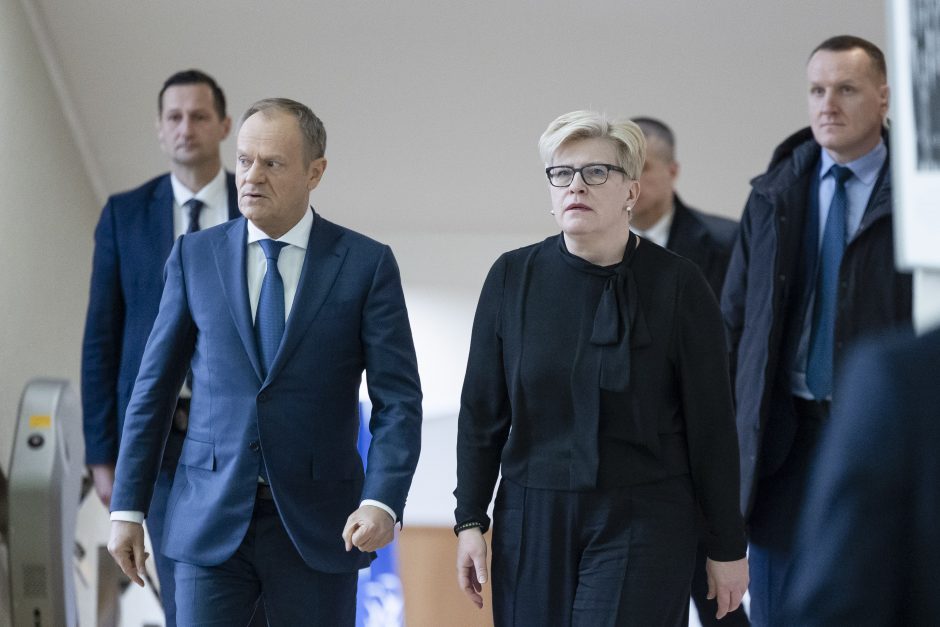 Premjerė: Europos ministrų susitikimai su S. Lavrovu yra apgailėtinas pasirinkimas