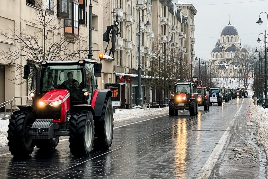 Žinomi žmonės stebi žemdirbių protestą: pro akis nepraslydo nei karstas, nei technikos galybė