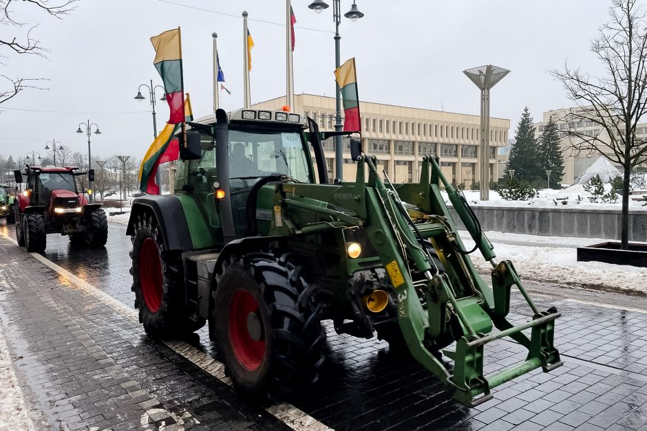 Žinomi žmonės stebi žemdirbių protestą: pro akis nepraslydo nei karstas, nei technikos galybė