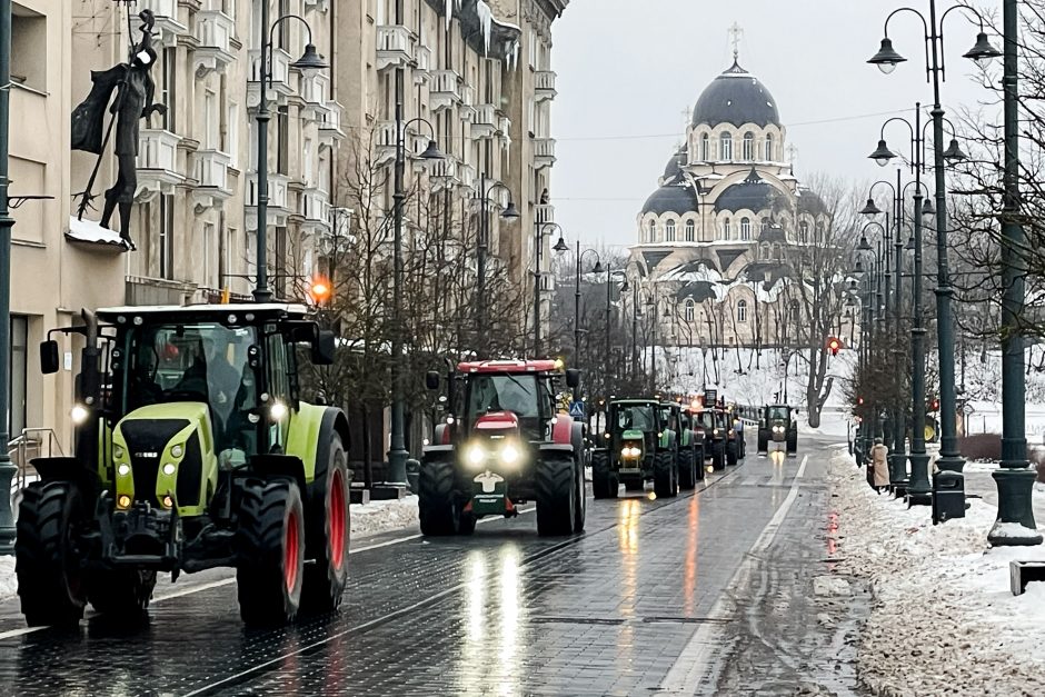 Žinomi žmonės stebi žemdirbių protestą: pro akis nepraslydo nei karstas, nei technikos galybė