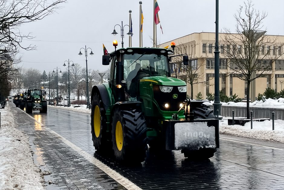 Žinomi žmonės stebi žemdirbių protestą: pro akis nepraslydo nei karstas, nei technikos galybė