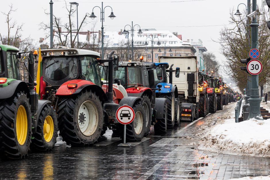 Žinomi žmonės stebi žemdirbių protestą: pro akis nepraslydo nei karstas, nei technikos galybė