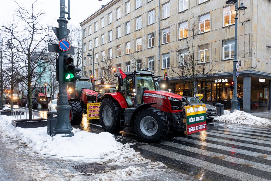 Žinomi žmonės stebi žemdirbių protestą: pro akis nepraslydo nei karstas, nei technikos galybė