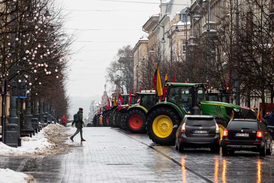 Žinomi žmonės stebi žemdirbių protestą: pro akis nepraslydo nei karstas, nei technikos galybė