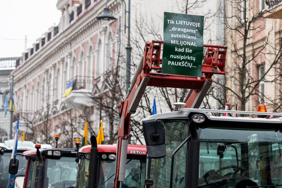 Žinomi žmonės stebi žemdirbių protestą: pro akis nepraslydo nei karstas, nei technikos galybė