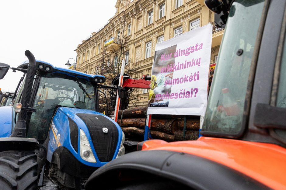 Žinomi žmonės stebi žemdirbių protestą: pro akis nepraslydo nei karstas, nei technikos galybė