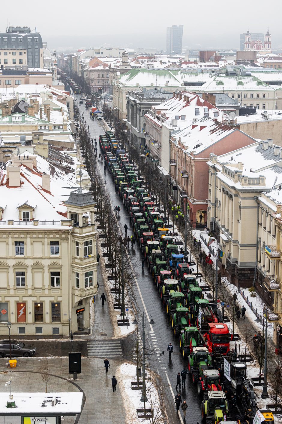 Žinomi žmonės stebi žemdirbių protestą: pro akis nepraslydo nei karstas, nei technikos galybė