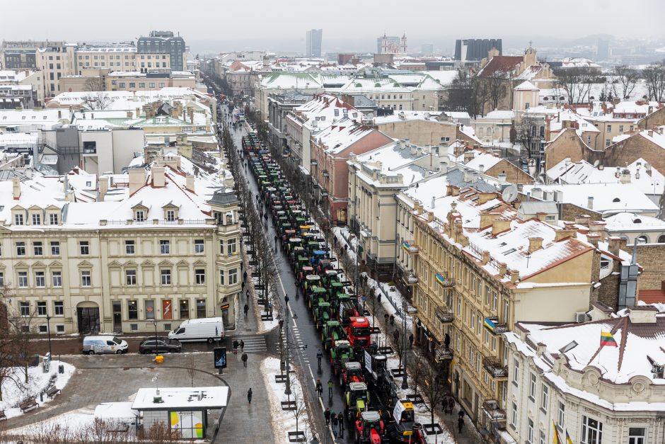 Žinomi žmonės stebi žemdirbių protestą: pro akis nepraslydo nei karstas, nei technikos galybė