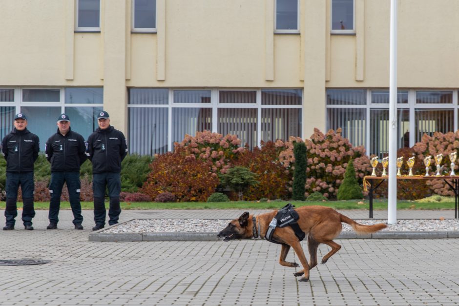 Geriausias kinologas: gyvybes gelbstintiems šunims visa tai yra didelė pramoga