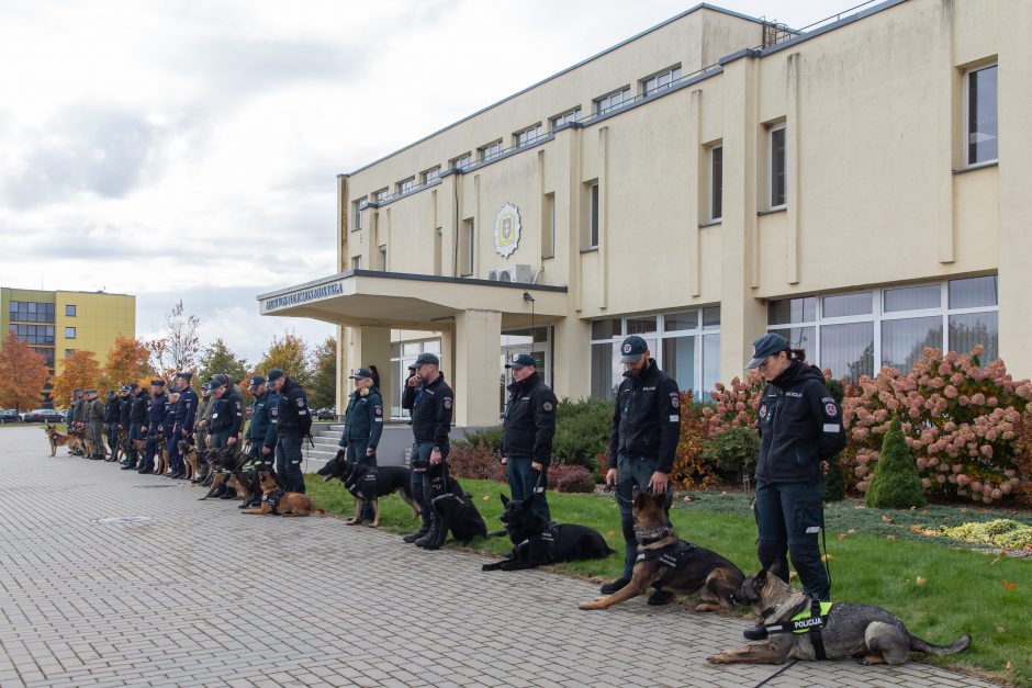 Geriausias kinologas: gyvybes gelbstintiems šunims visa tai yra didelė pramoga