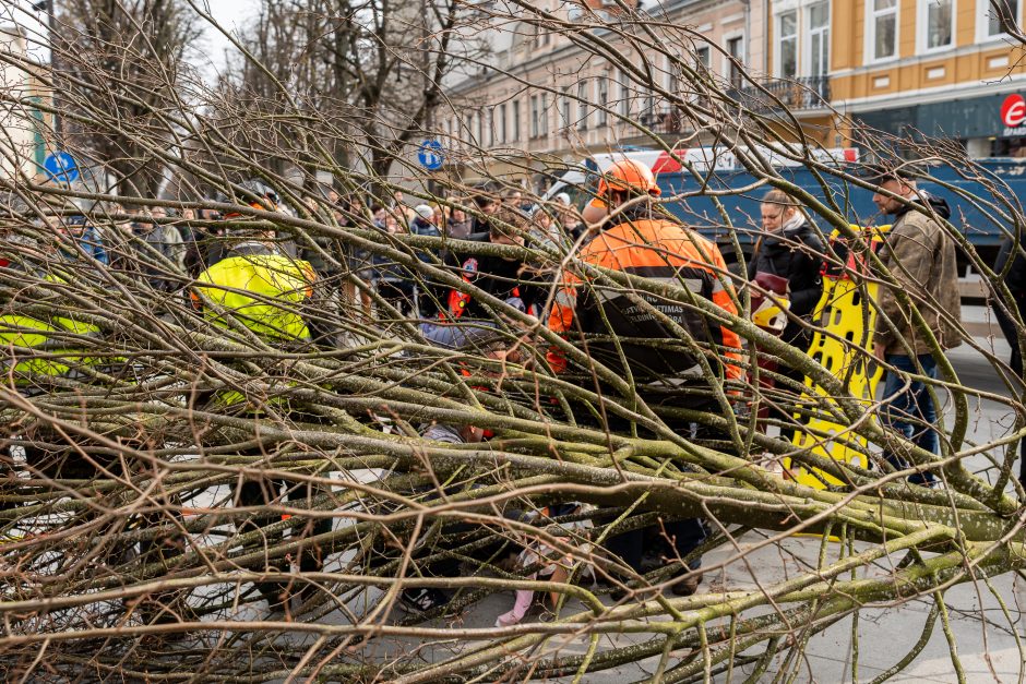 Darbo inspekcija dėl incidento Laisvės alėjoje pradėjo tyrimą: įžvelgia pažeidimų