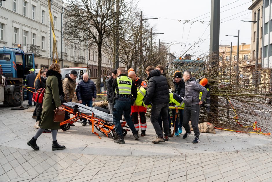 Darbo inspekcija dėl incidento Laisvės alėjoje pradėjo tyrimą: įžvelgia pažeidimų