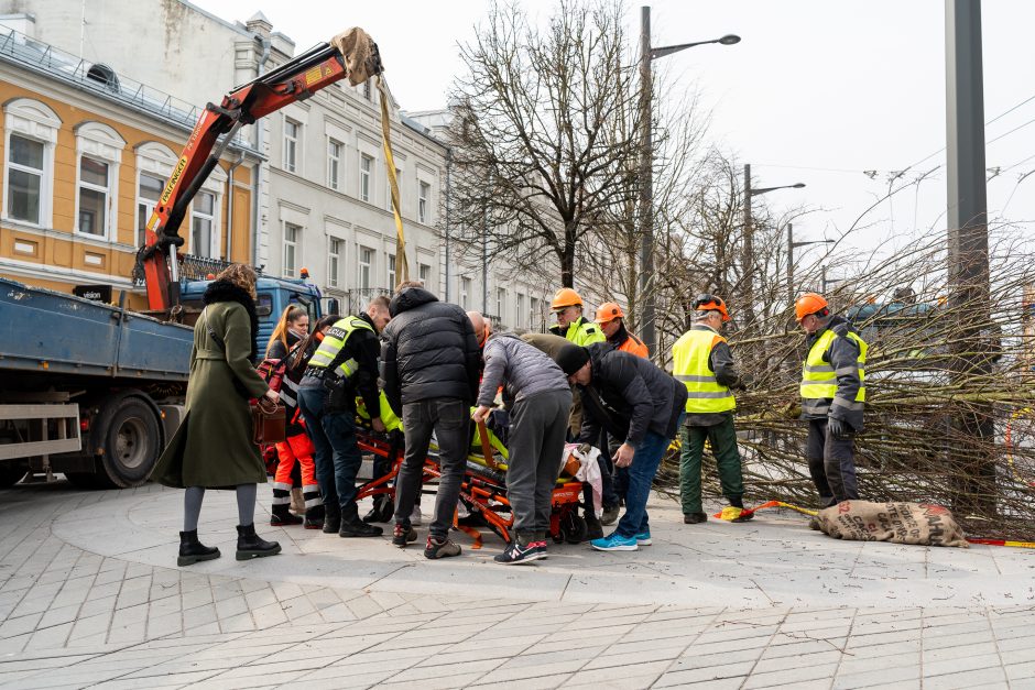 Darbo inspekcija dėl incidento Laisvės alėjoje pradėjo tyrimą: įžvelgia pažeidimų