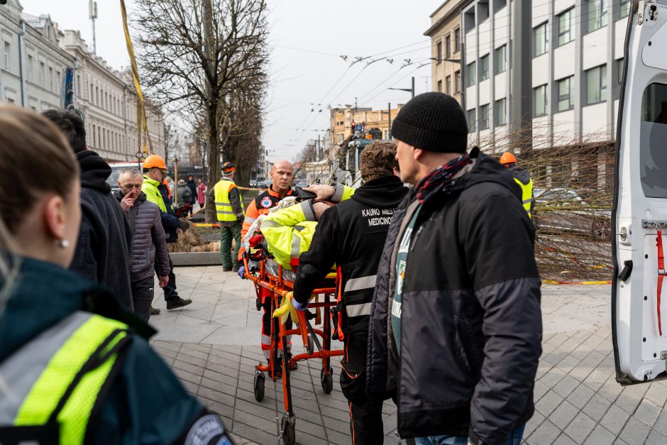 Darbo inspekcija dėl incidento Laisvės alėjoje pradėjo tyrimą: įžvelgia pažeidimų