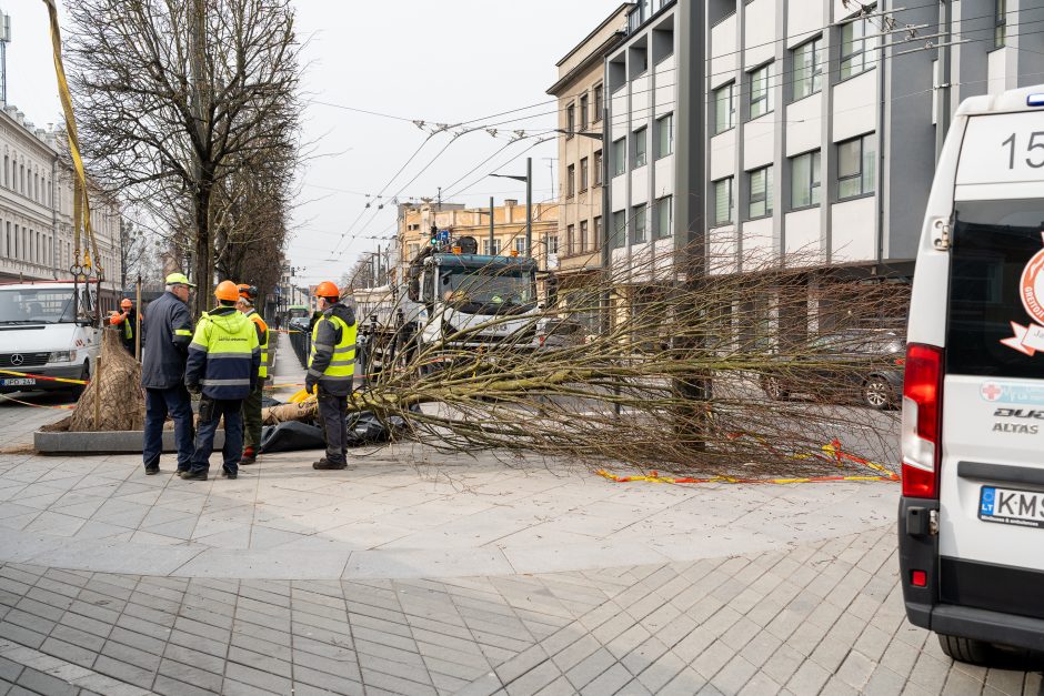 Darbo inspekcija dėl incidento Laisvės alėjoje pradėjo tyrimą: įžvelgia pažeidimų