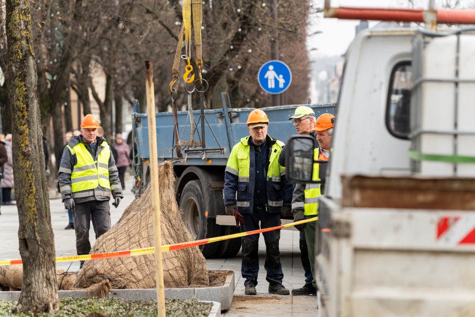 Darbo inspekcija dėl incidento Laisvės alėjoje pradėjo tyrimą: įžvelgia pažeidimų