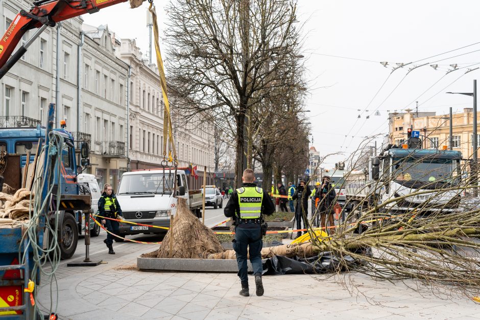 Darbo inspekcija dėl incidento Laisvės alėjoje pradėjo tyrimą: įžvelgia pažeidimų