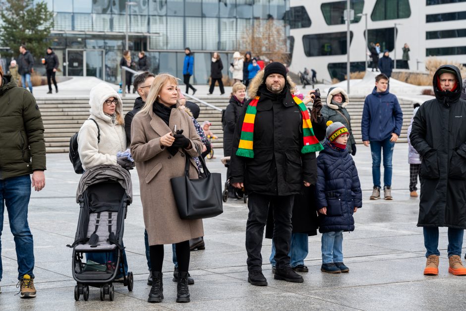 Vasario 16-oji Kaune – su šimtais vėliavų ir pasididžiavimo jausmu